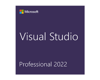 Visual Studio Professional 2022 