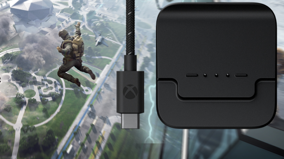 placeholder text for image